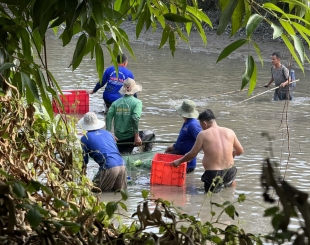 Khách hàng với những lần bắt cá tại Hai Lúa Ẩm Thực