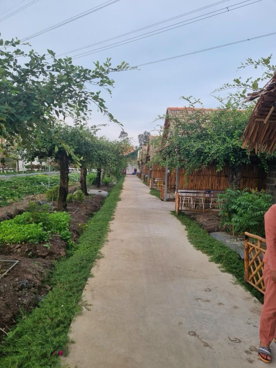 Hai Lúa Ẩm Thực Nghỉ Dưỡng Sinh Thái 