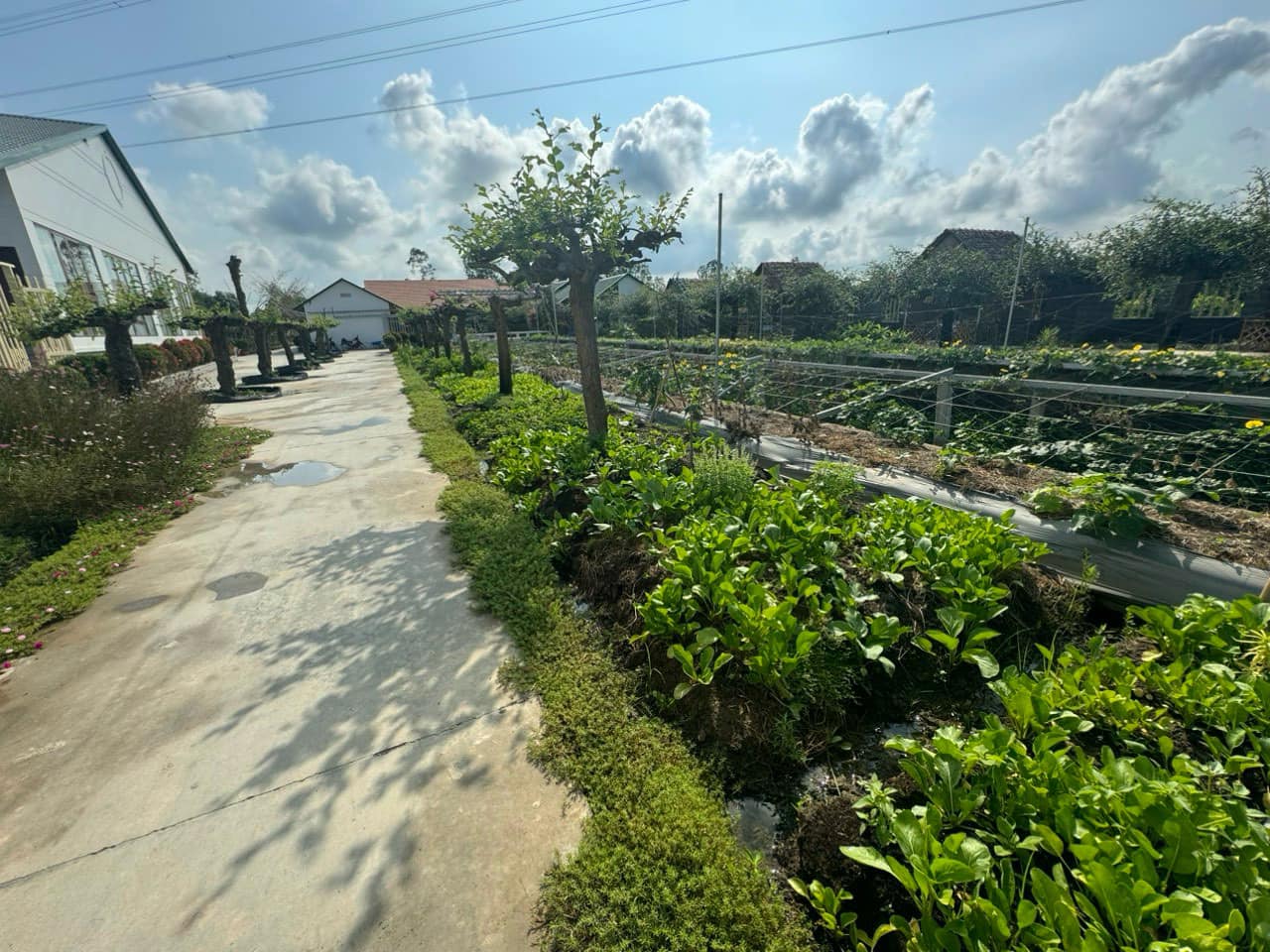 Hai Lúa Ẩm Thực Nghỉ Dưỡng Sinh Thái 