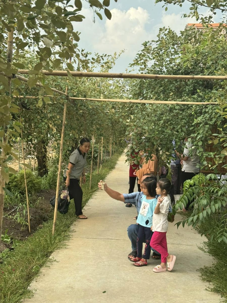 Hai Lúa Ẩm Thực Nghỉ Dưỡng Sinh Thái 