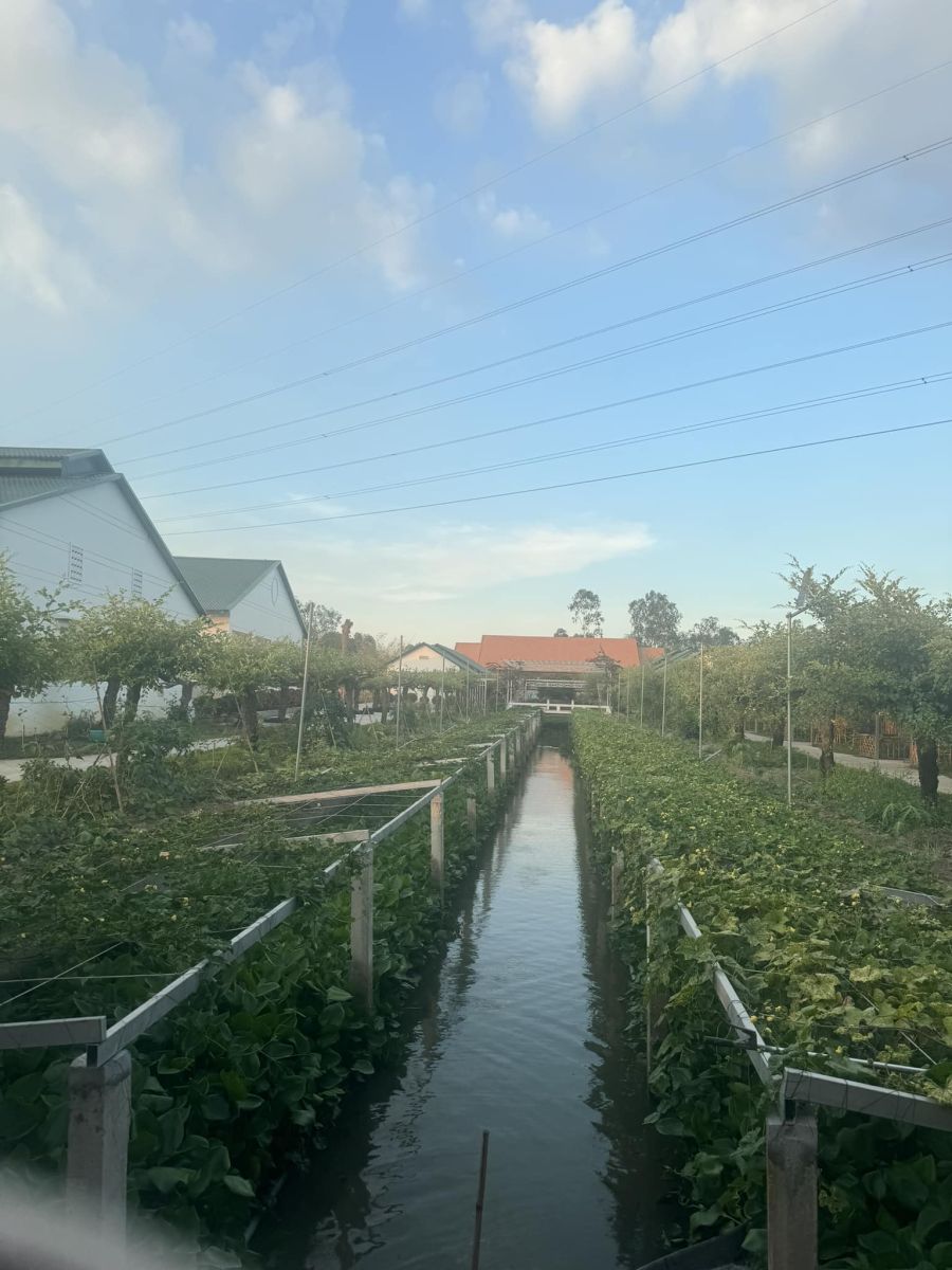 KHU DU LỊCH ẨM THỰC HAI LÚA