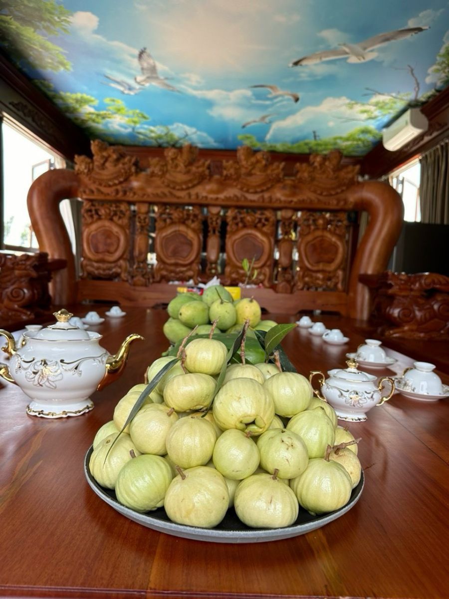 Hai Lúa Ẩm Thực Nghỉ Dưỡng Sinh Thái 